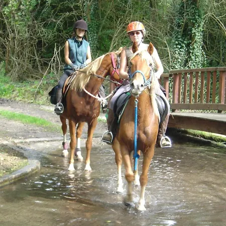 Authentique Maison Normande De Village *