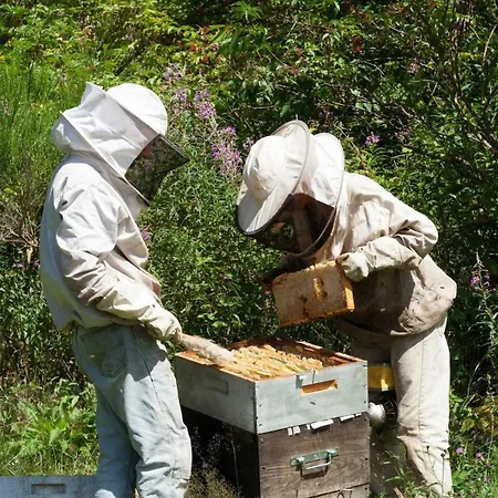 Authentique Maison Normande De Village Chalé *