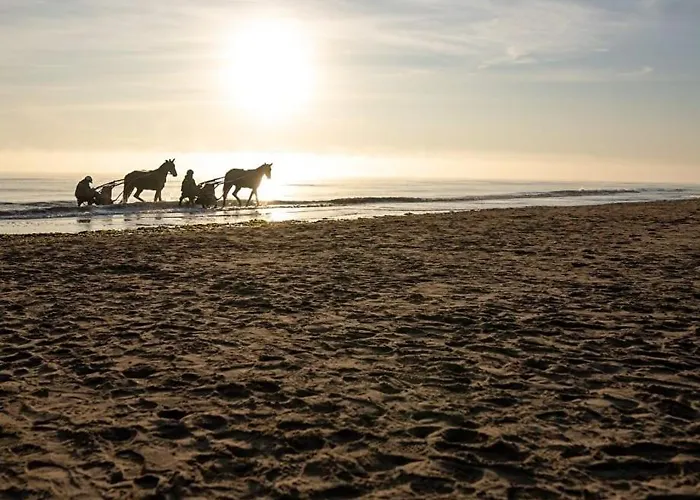Authentique Maison Normande De Village Chalet